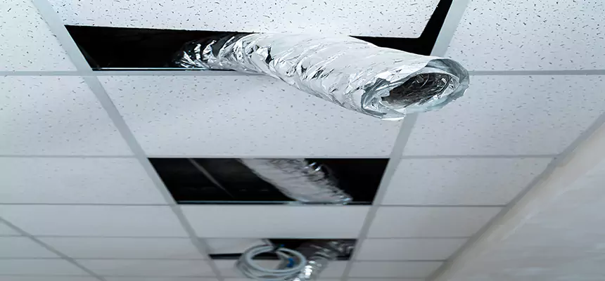 Our Air Duct Pet Hair Removal Services in Chillicothe, OH