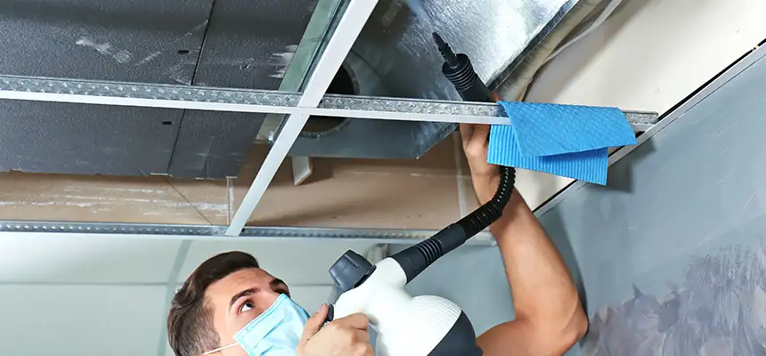 Our Air Duct Rodent Removal Services in Chillicothe, OH