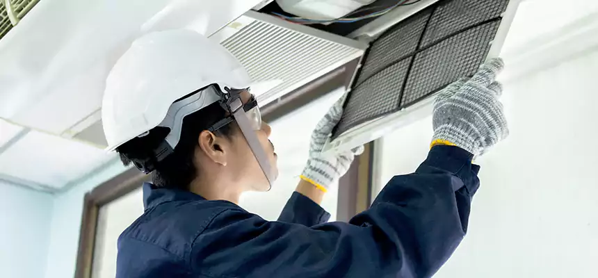 Our Mold & Mildew Removal from Air Ducts Services in Chillicothe, OH