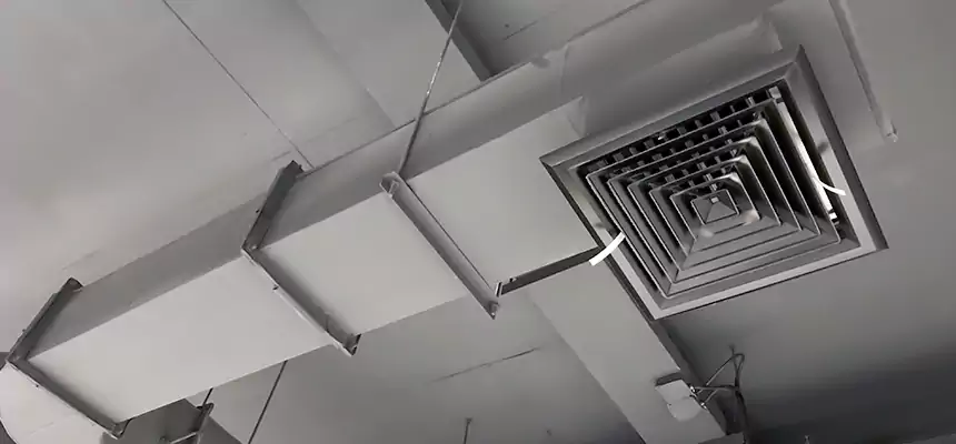 Our Pest Removal From Ducts Services in Chillicothe, OH