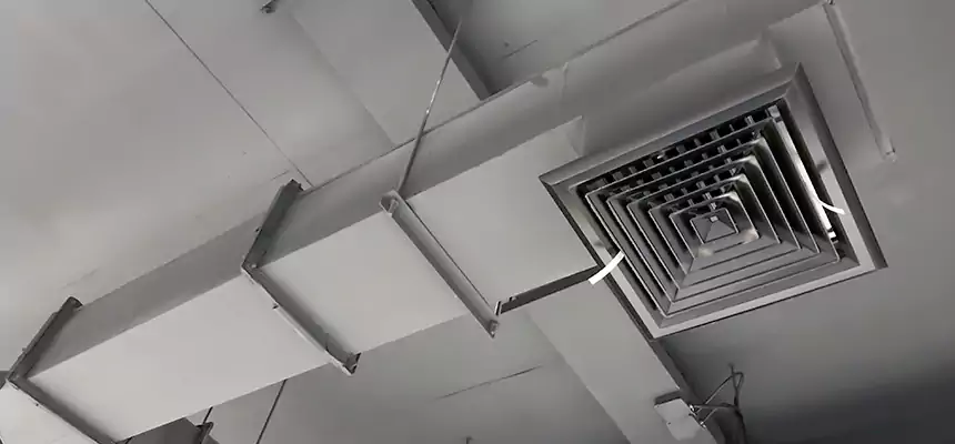 Our Rodent Droppings In Vents Services in Chillicothe, OH