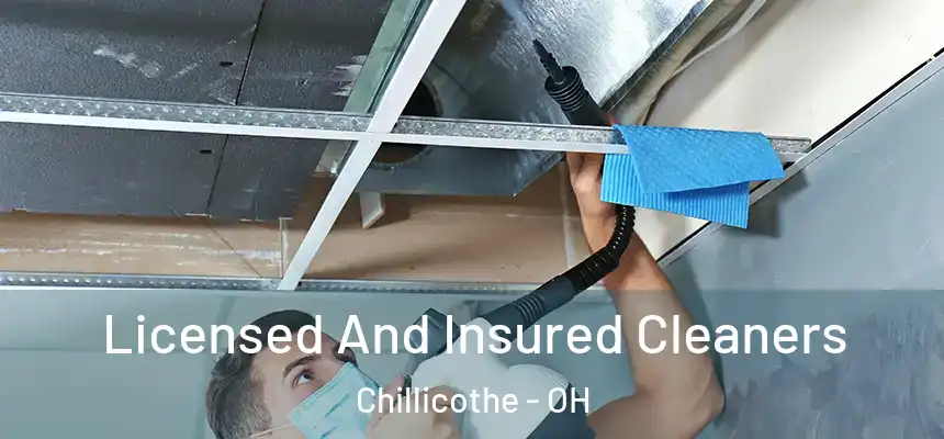 Licensed And Insured Cleaners Chillicothe - OH
