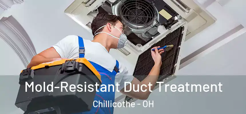  Mold-Resistant Duct Treatment Chillicothe - OH