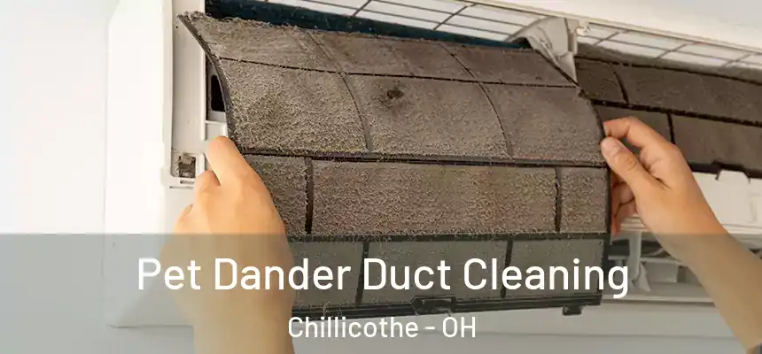  Pet Dander Duct Cleaning Chillicothe - OH