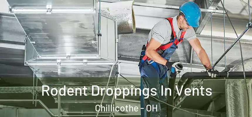  Rodent Droppings In Vents Chillicothe - OH