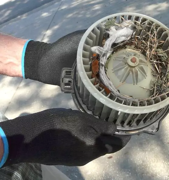 About Air Duct Mice Removal in Chillicothe, OH