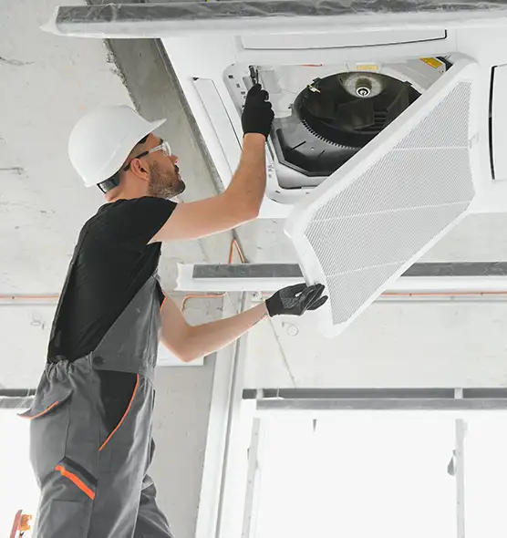 About Air Duct Rodent Removal in Chillicothe, OH