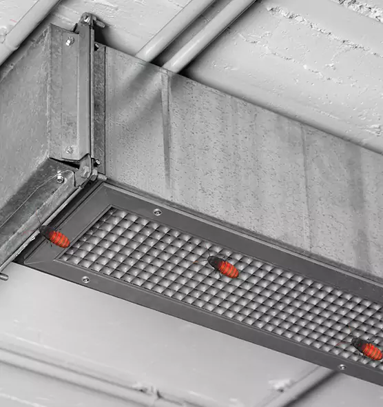 Affordable Insect Removal from Air Ducts in Chillicothe, OH